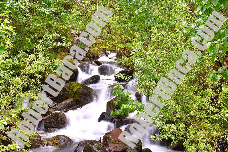 Alaska Rock and River