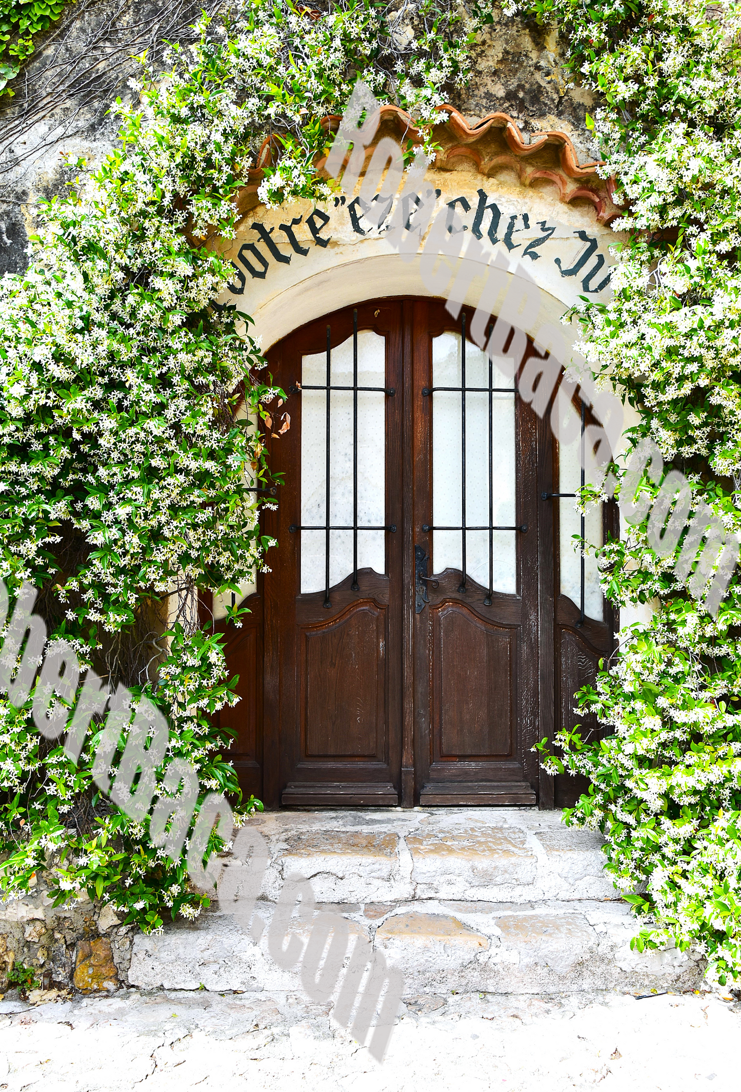European Door With Leaves