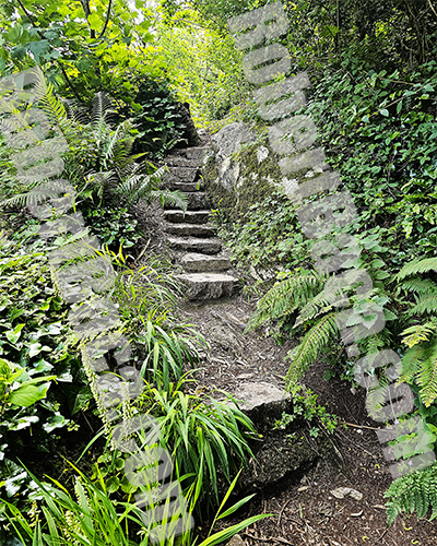 Foliage and Steps at Blarney Grounds