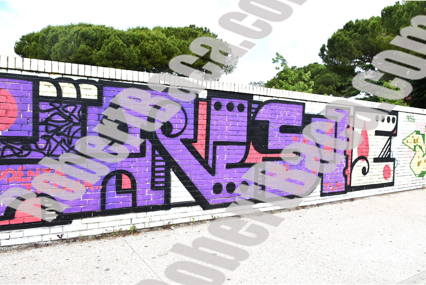 Graffiti - Pisa Purple
