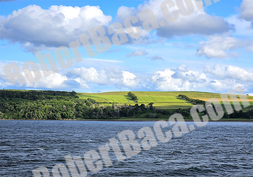 Grassy Fields in Cromarty, Scotland