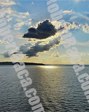 Spotlight on Celtic Sea