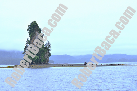 Sea Stack and Fallen Tree