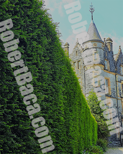 Blarney House Cork, Ireland