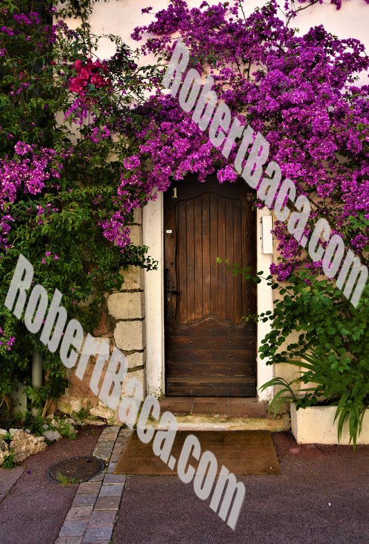 European Door with Purple Flower