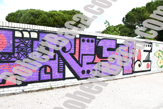 Graffiti - Pisa Purple