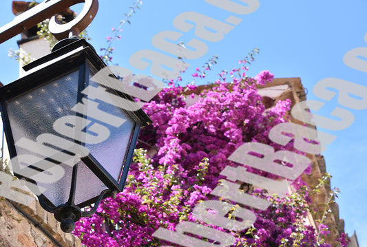 Lamps - Lamp in Pompeii
