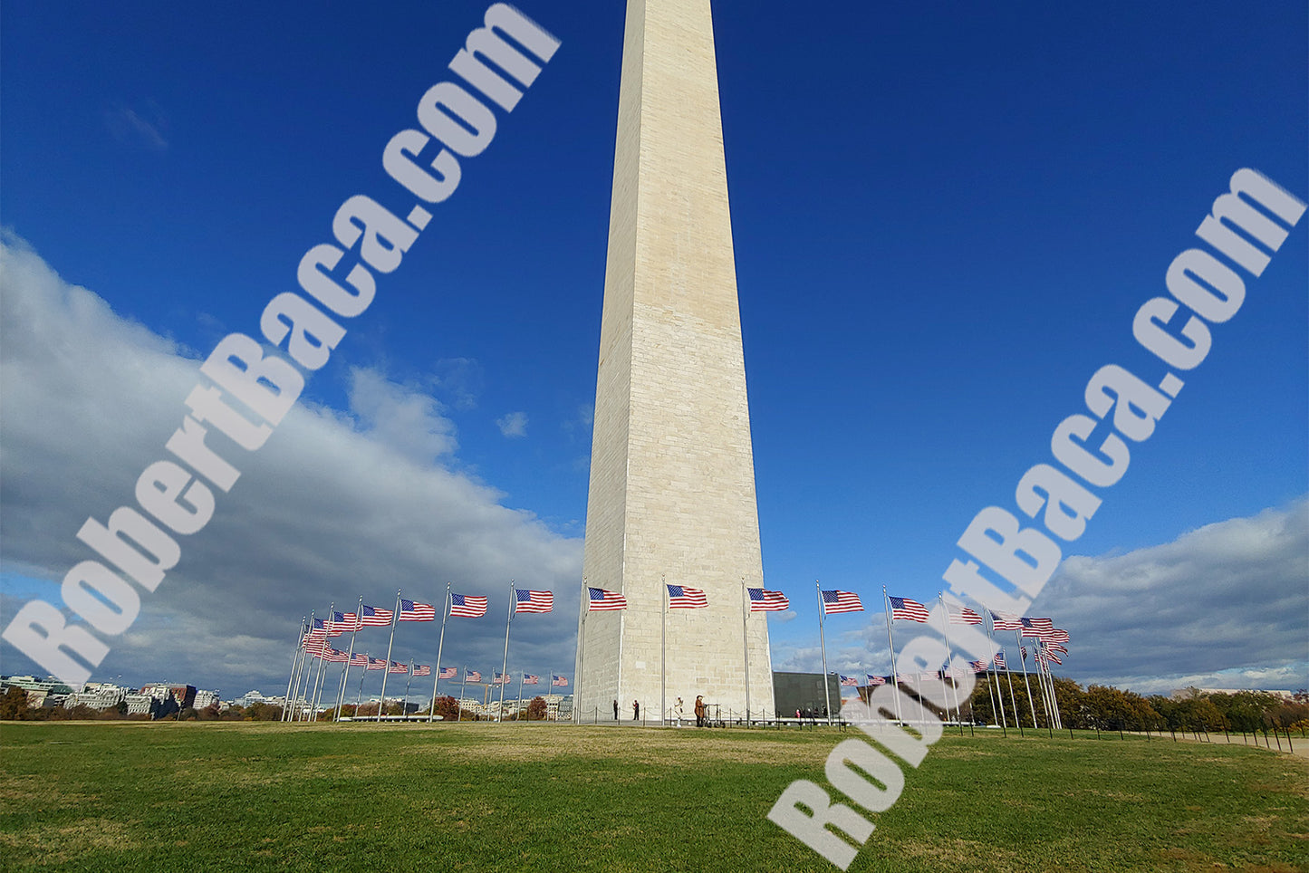 Flags Blowing at the Washington Monument