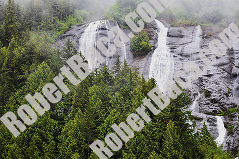 Waterfall and Trees - Alaska